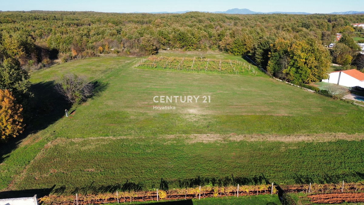 SVETVINČENAT, TERRENO EDIFICABILE DI FORMA REGOLARE, POSSIBILITÀ DI ACQUISTARE ANCHE TERRENO AGRICOLO ADIACENTE