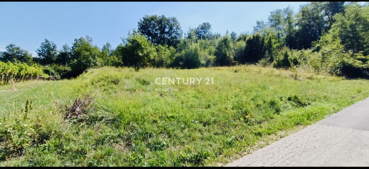 GRIMALDA, DINTORNI, TERRENO EDILIZIO CON MOLTO POTENZIALE