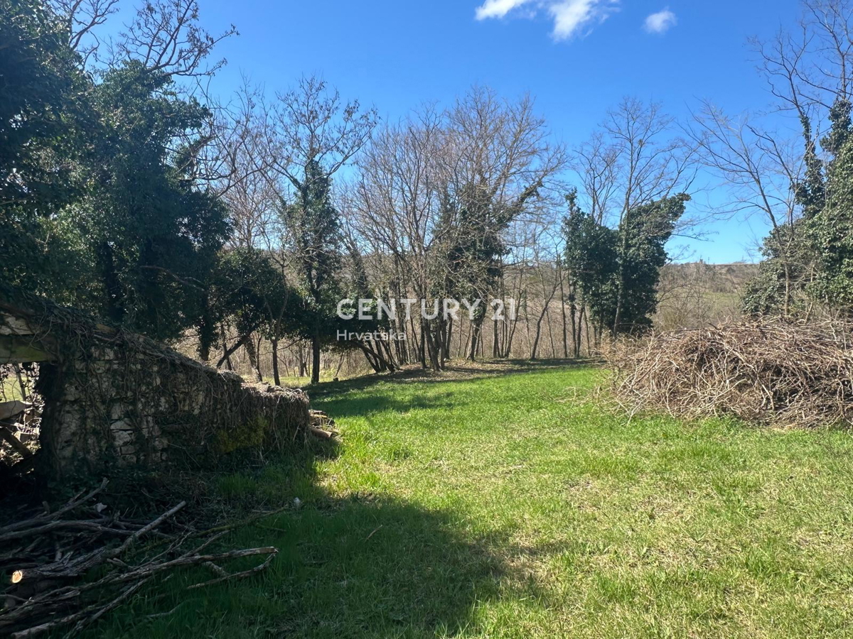 GROŽNJAN, IN VENDITA SPLENDIDA PROPRIETÀ CON VISTA APERTA SULLA NATURA
