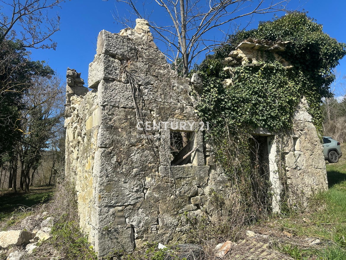 GROŽNJAN, IN VENDITA SPLENDIDA PROPRIETÀ CON VISTA APERTA SULLA NATURA
