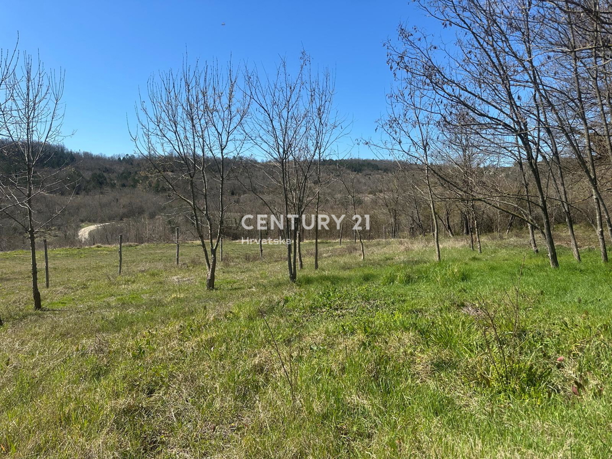 GROŽNJAN, IN VENDITA SPLENDIDA PROPRIETÀ CON VISTA APERTA SULLA NATURA