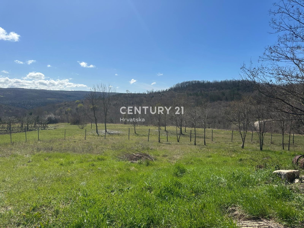 GROŽNJAN, IN VENDITA SPLENDIDA PROPRIETÀ CON VISTA APERTA SULLA NATURA