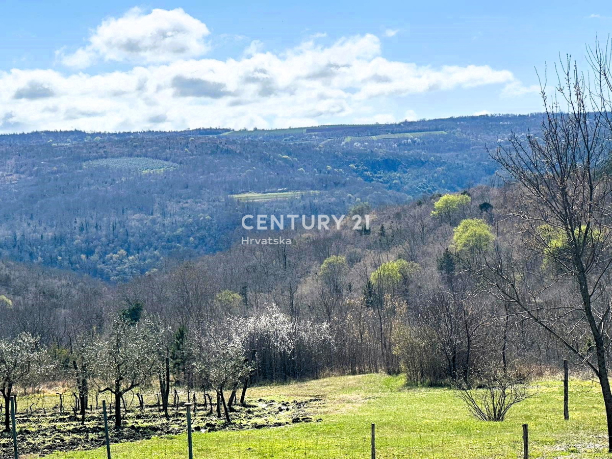GROŽNJAN, IN VENDITA SPLENDIDA PROPRIETÀ CON VISTA APERTA SULLA NATURA