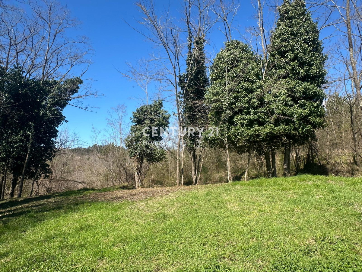 GROŽNJAN, IN VENDITA SPLENDIDA PROPRIETÀ CON VISTA APERTA SULLA NATURA