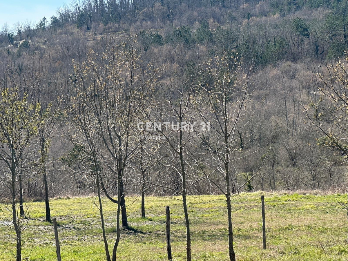GROŽNJAN, IN VENDITA SPLENDIDA PROPRIETÀ CON VISTA APERTA SULLA NATURA