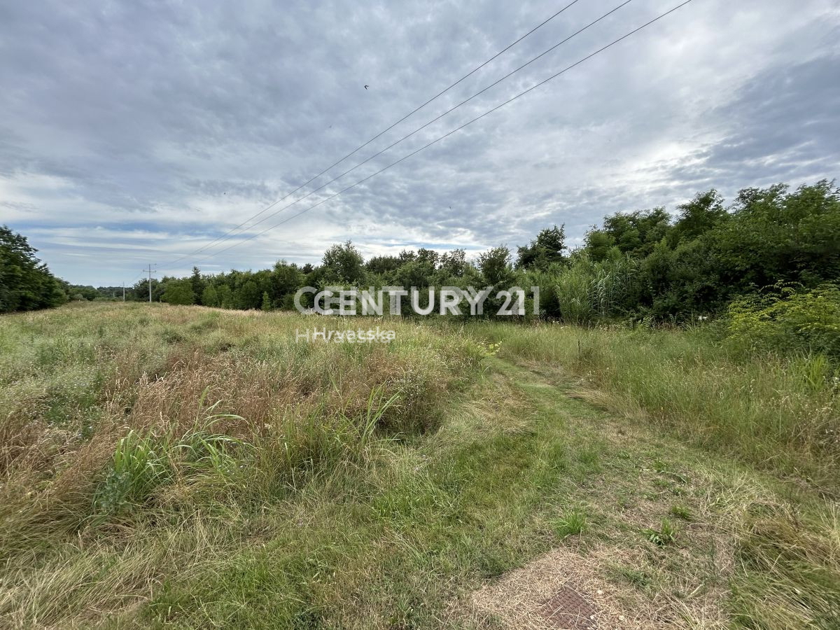 Vendita, Terreno, Edificabile, Provincia di Istria, Umag