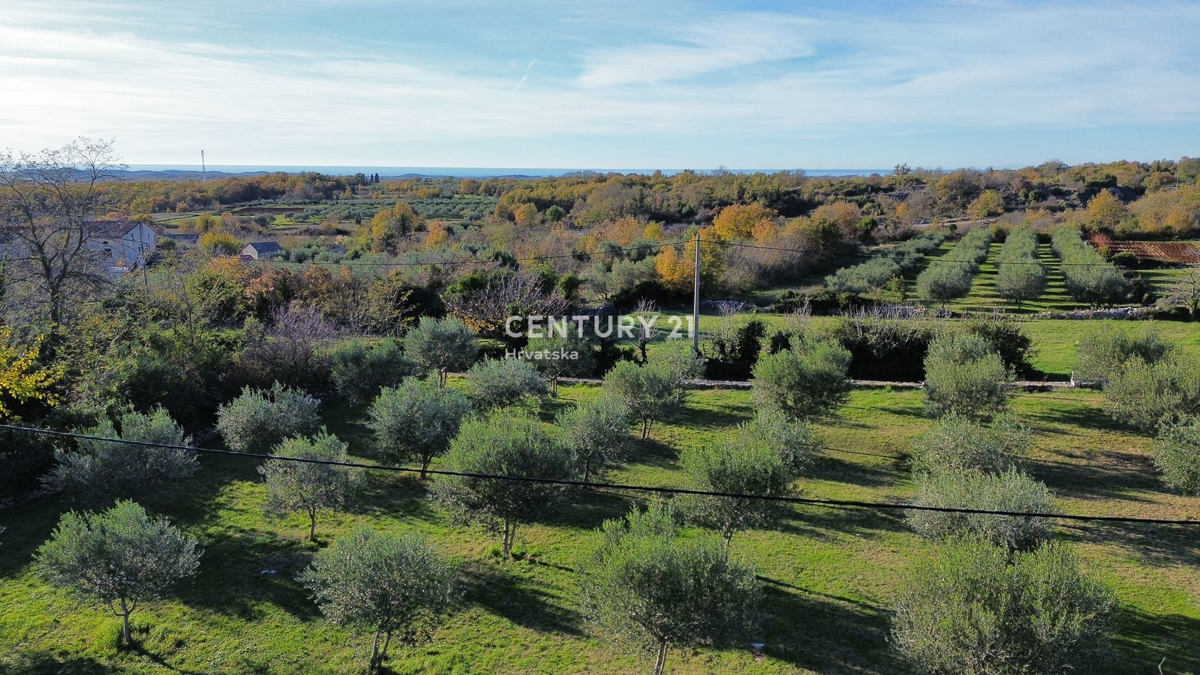 POREČ, SVETI LOVREČ, TERRENO EDIFICABILE CON VISTA MARE