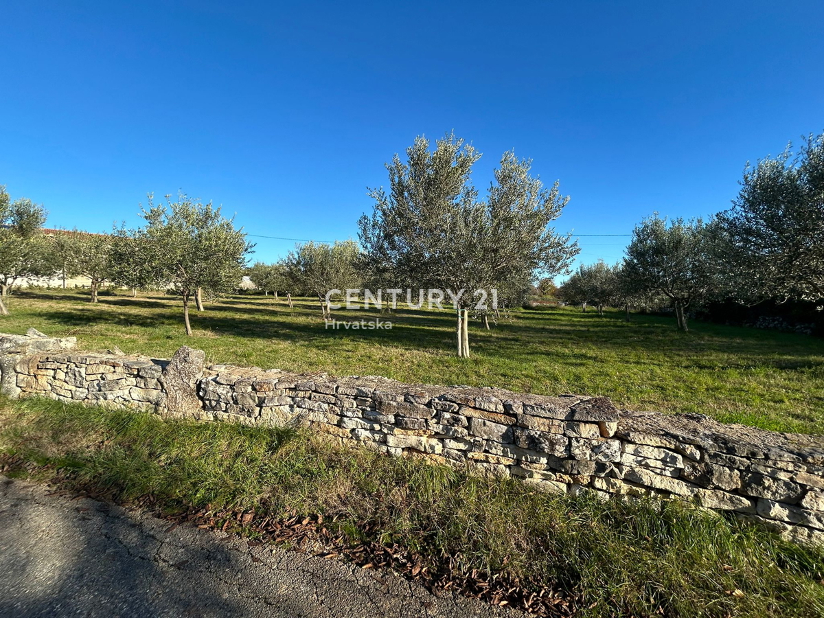 POREČ, SVETI LOVREČ, TERRENO EDIFICABILE CON VISTA MARE
