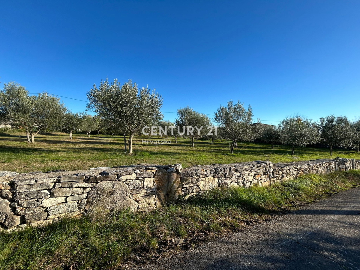 POREČ, SVETI LOVREČ, TERRENO EDIFICABILE CON VISTA MARE