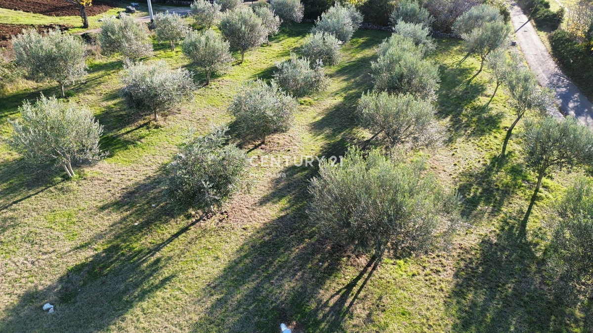 POREČ, SVETI LOVREČ, TERRENO EDIFICABILE CON VISTA MARE