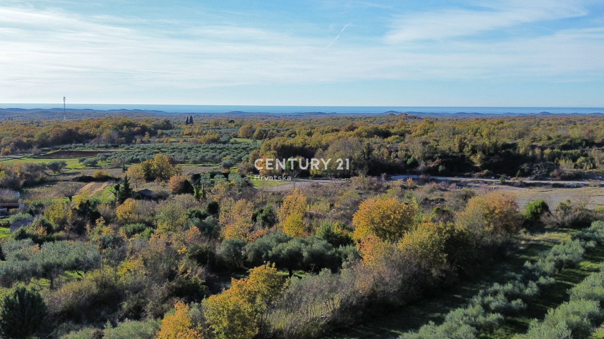 POREČ, SVETI LOVREČ, TERRENO EDIFICABILE CON VISTA MARE