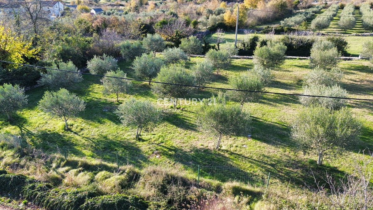 POREČ, SVETI LOVREČ, TERRENO EDIFICABILE CON VISTA MARE
