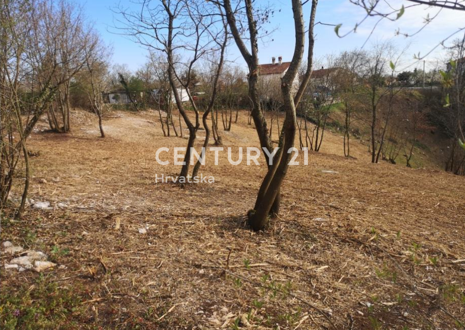 SVETVINČENAT, TERRENO EDIFICABILE CON PERMESSO DI COSTRUIRE PER VILLA IN MEZZO ALLA NATURA