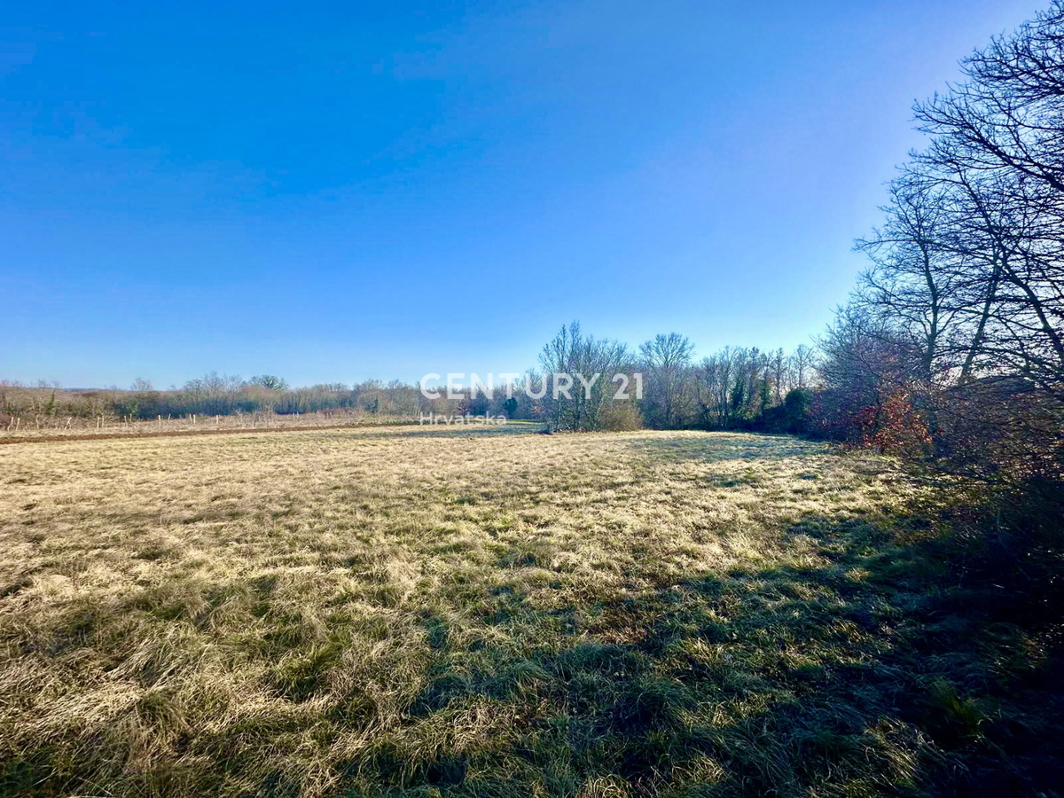 ŽMINJ, DINTORNI, OTTIMO TERRENO EDIFICABILE CON MOLTO POTENZIALE