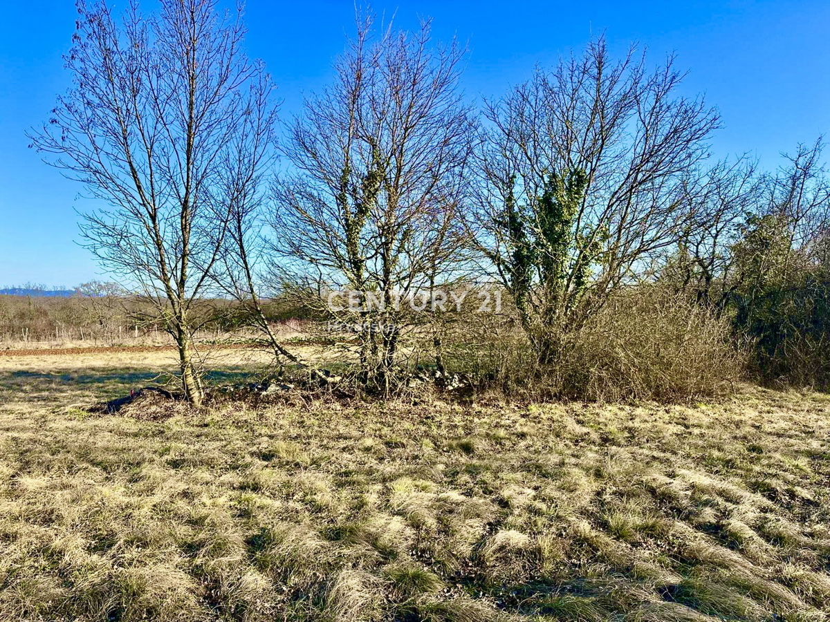 ŽMINJ, DINTORNI, OTTIMO TERRENO EDIFICABILE CON MOLTO POTENZIALE