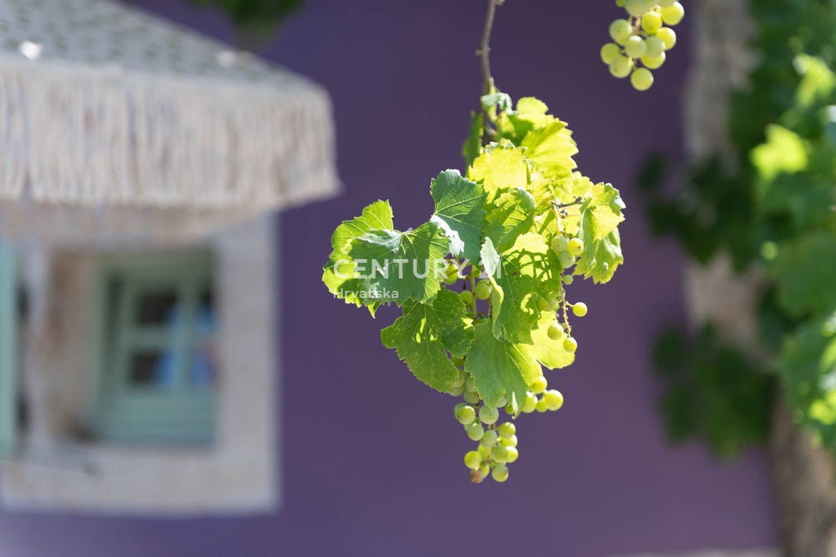 SVETVINČENAT, DINTORNI, AFFASCINANTE CASA IN PIETRA RISTRUTTURATA