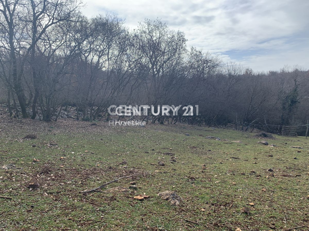 Vendita, Terreno, Edificabile, Istarska županija, Višnjan, Radoši kod Višnjana