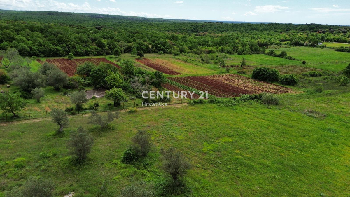 Vendita, Casa, Indipendente, Provincia di Istria, Rovinj