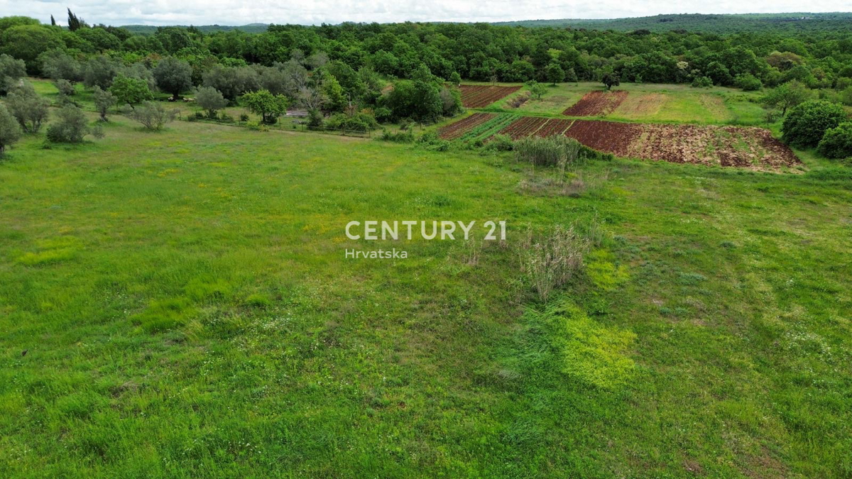 Vendita, Casa, Indipendente, Provincia di Istria, Rovinj