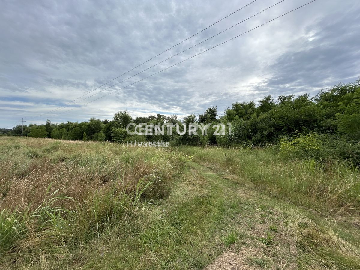 Vendita, Terreno, Edificabile, Contea di Istria, Umag