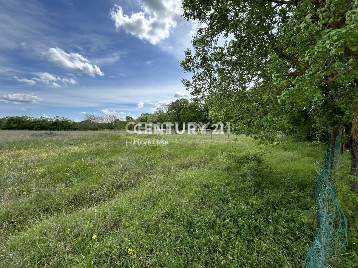 Vendita, Terreno, Edificabile, Provincia di Istria, Bale