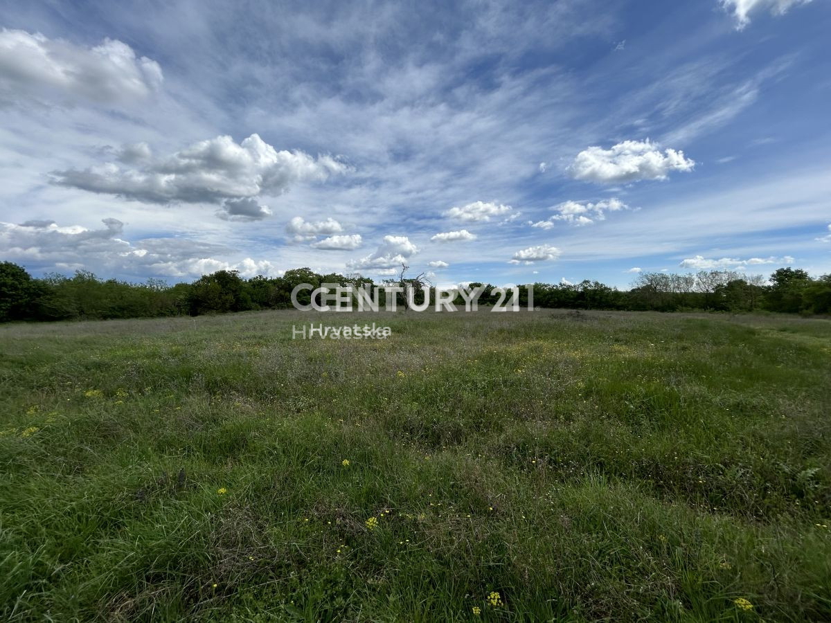 Vendita, Terreno, Edificabile, Provincia di Istria, Bale