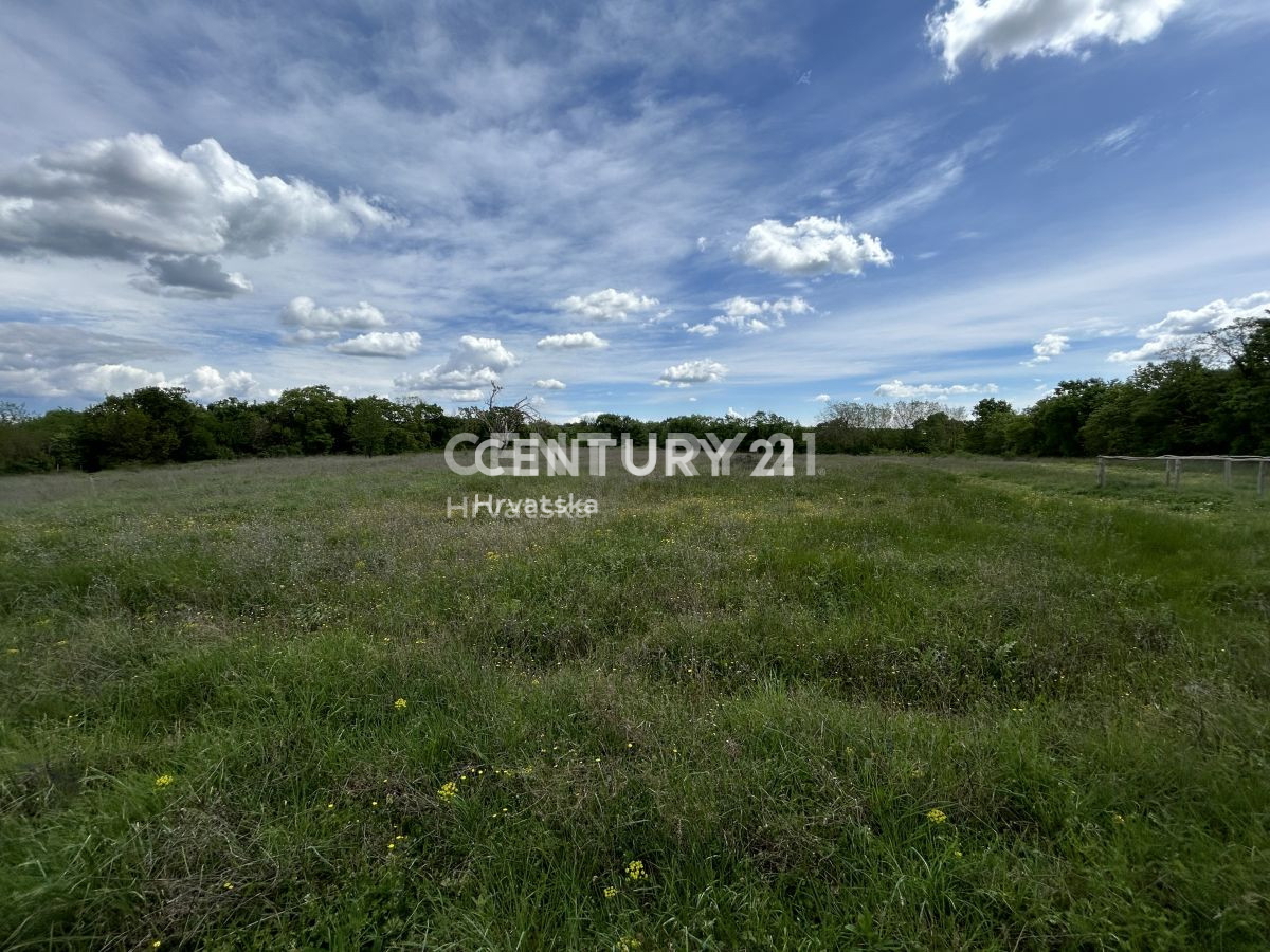 Vendita, Terreno, Edificabile, Provincia di Istria, Bale