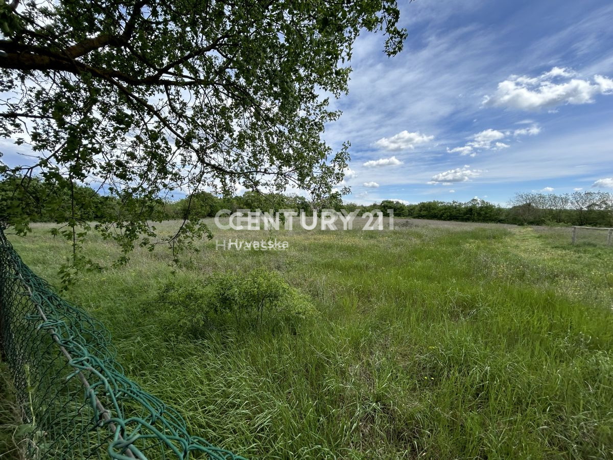 Vendita, Terreno, Edificabile, Provincia di Istria, Bale