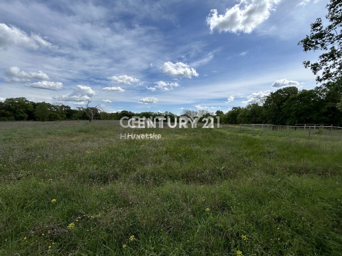 Vendita, Terreno, Edificabile, Provincia di Istria, Bale