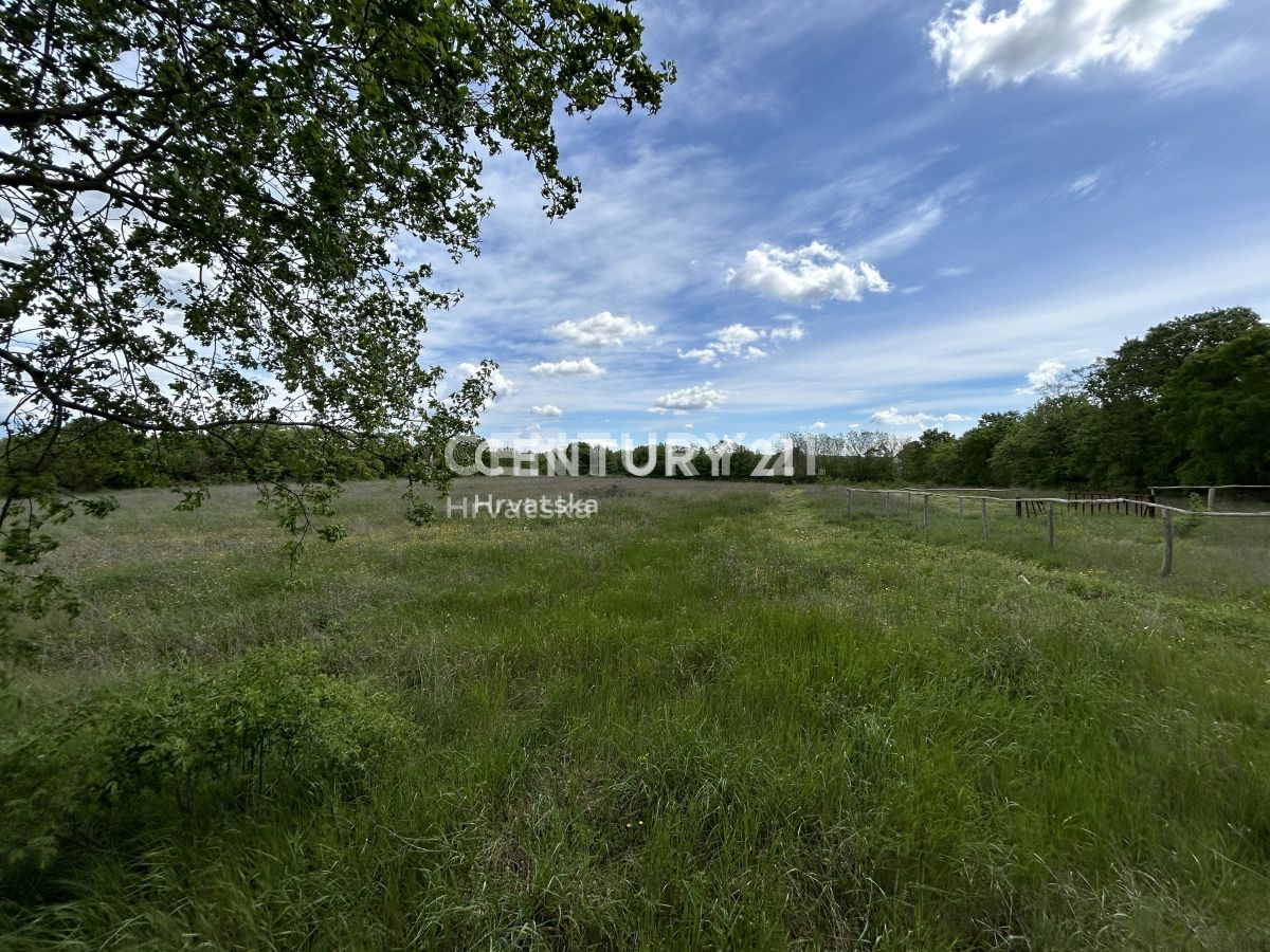 Vendita, Terreno, Edificabile, Provincia di Istria, Bale