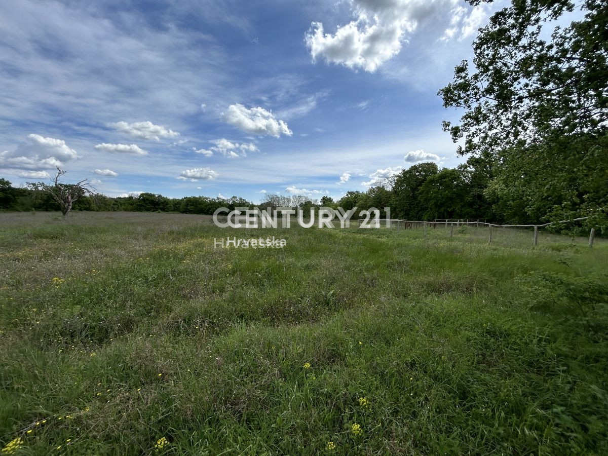 Vendita, Terreno, Edificabile, Provincia di Istria, Bale