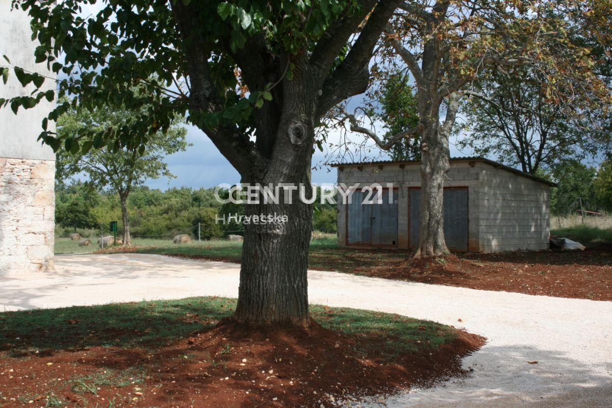 Vendita, Casa, Bifamiliare, Provincia di Istria, Višnjan, Radoši vicino a Višnjan