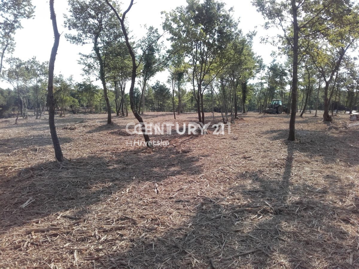 Vendita, Casa, Bifamiliare, Provincia di Istria, Višnjan, Radoši vicino a Višnjan