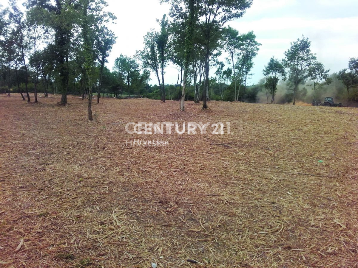 Vendita, Casa, Bifamiliare, Provincia di Istria, Višnjan, Radoši vicino a Višnjan