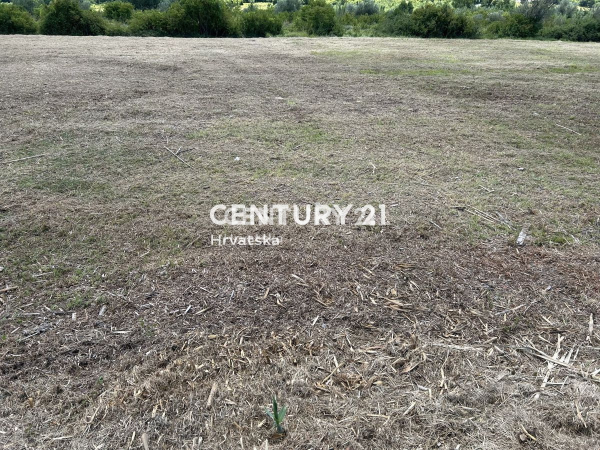 BUJE, DINTORNI, TERRENO EDIFICABILE ATTRATTIVO CON VISTA SUL MARE