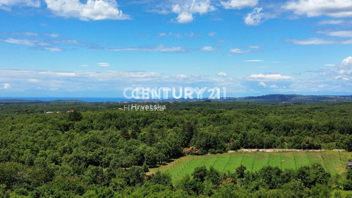 Vendita, Terreno, Edificabile, Provincia di Istria, Buje