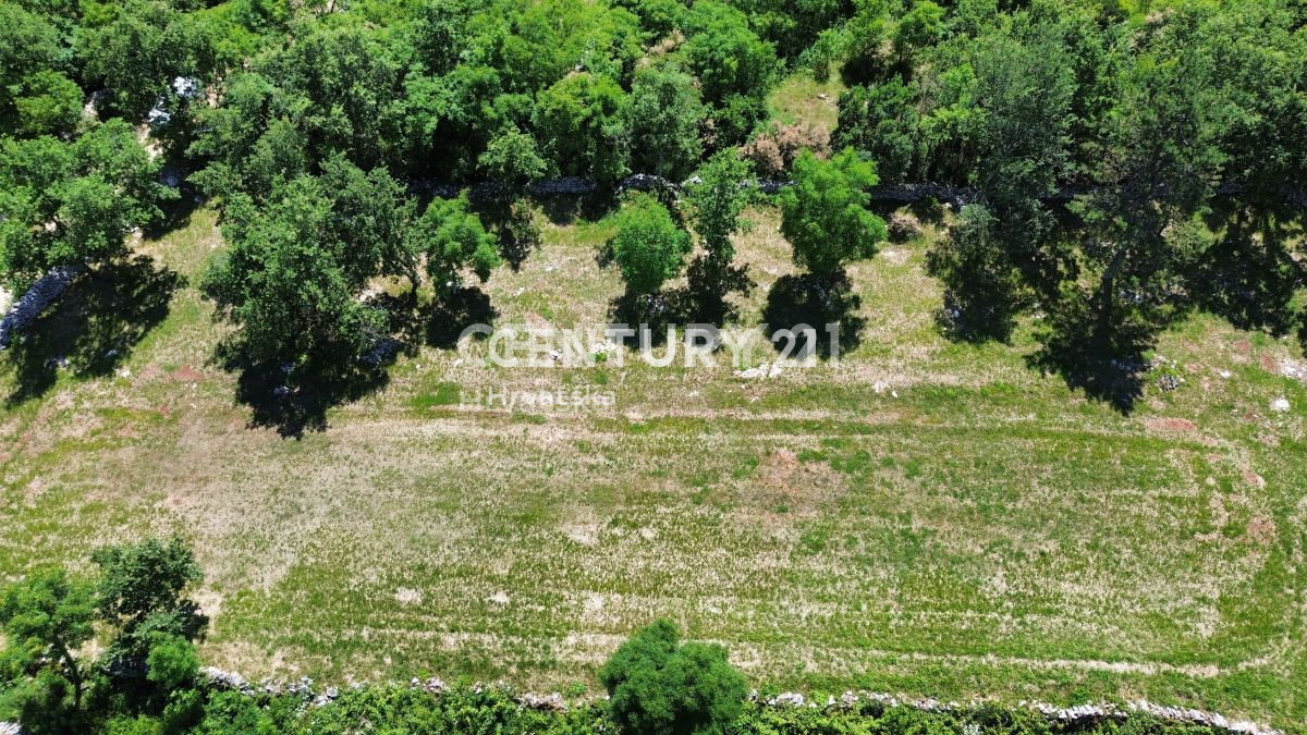Vendita, Terreno, Edificabile, Provincia di Istria, Buje
