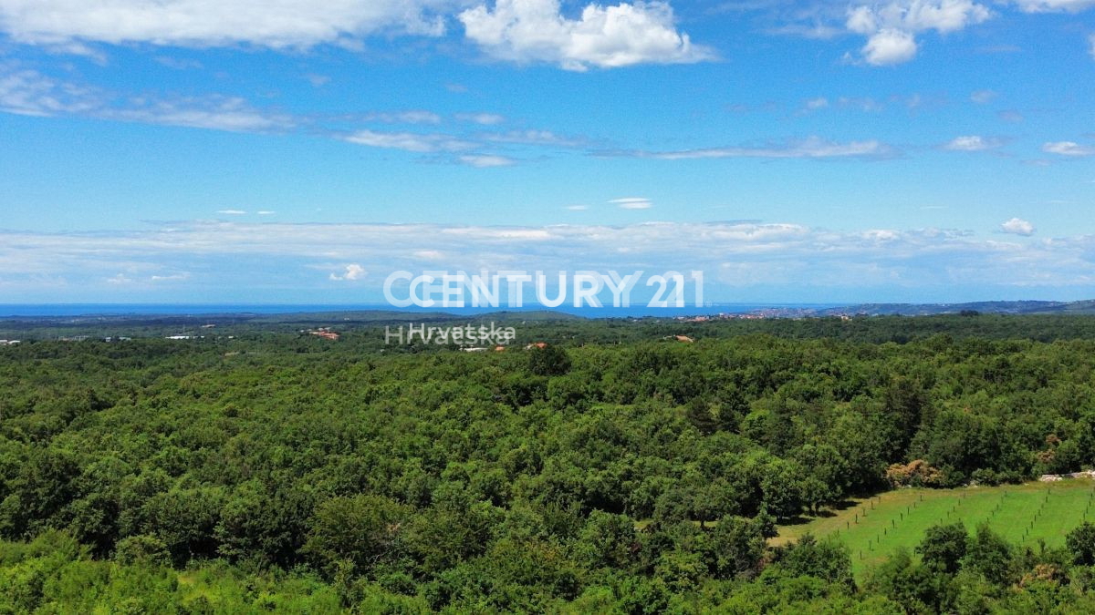 Vendita, Terreno, Edificabile, Provincia di Istria, Buje