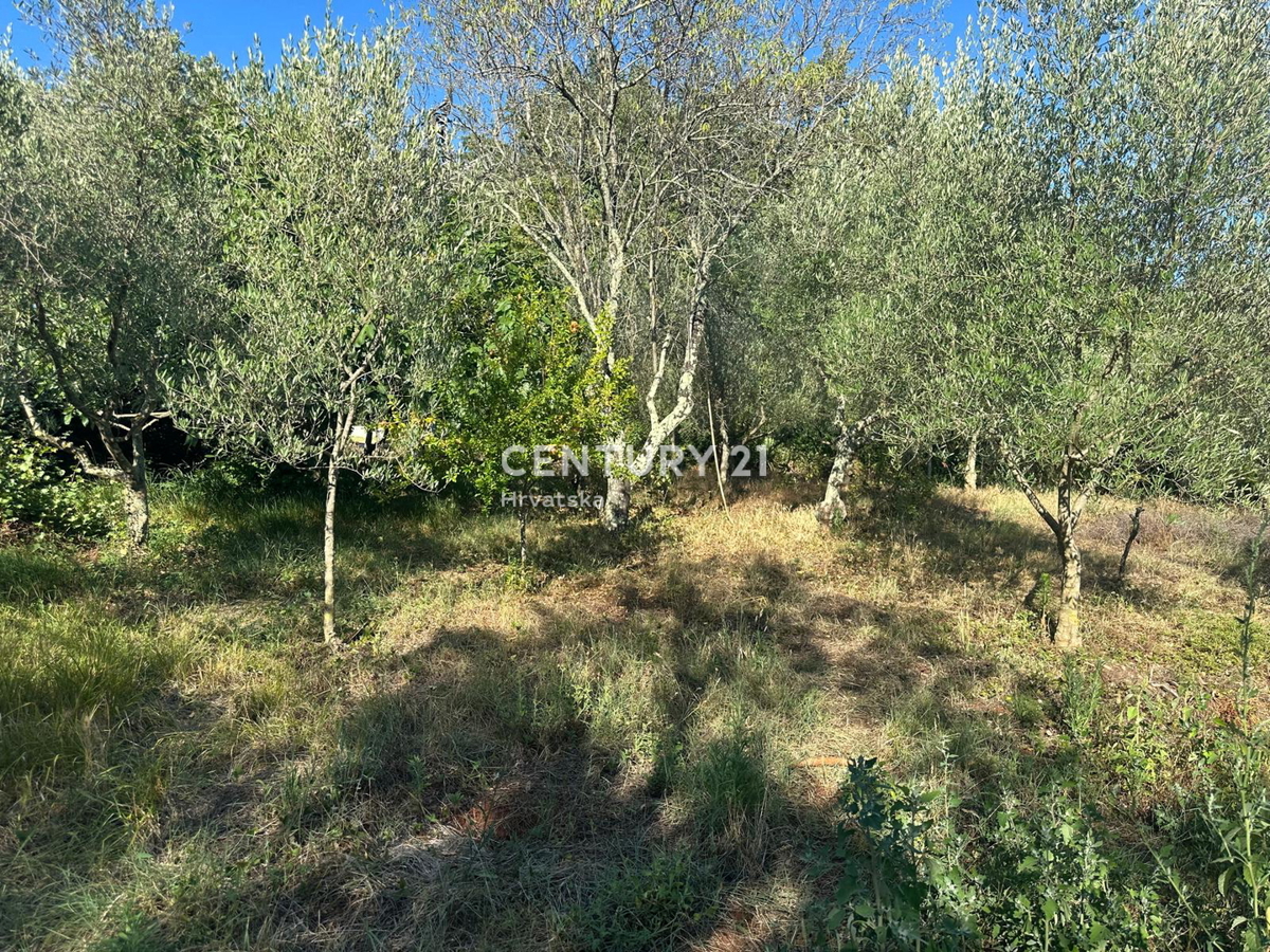 BRTONIGLA, VENDITA TERRENO EDIFICABILE