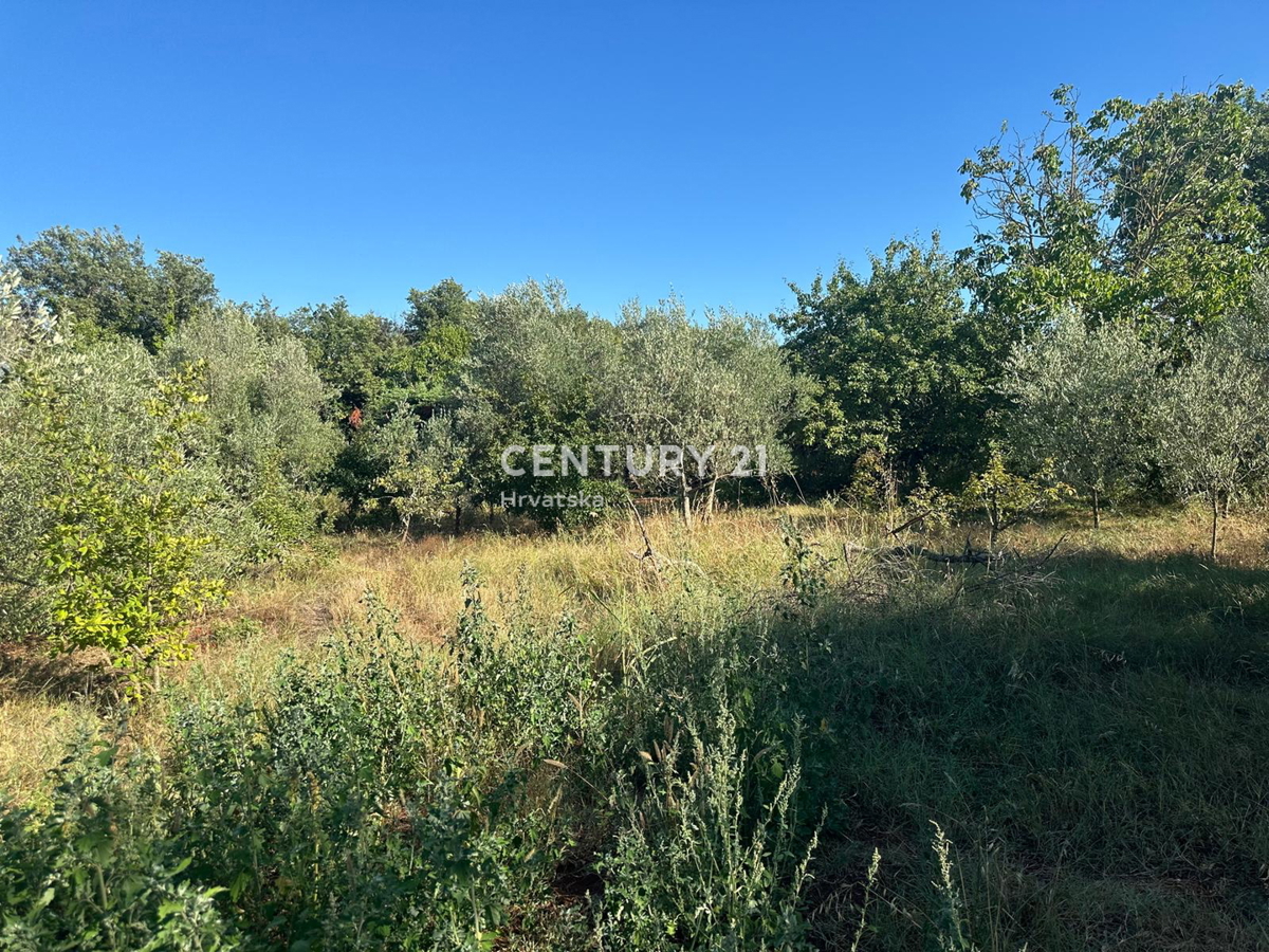 BRTONIGLA, VENDITA TERRENO EDIFICABILE