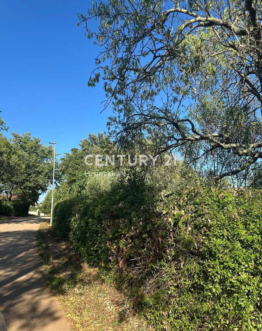 BRTONIGLA, VENDITA TERRENO EDIFICABILE