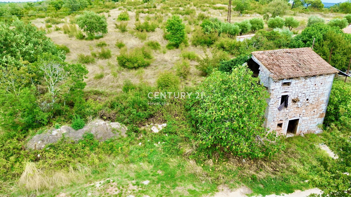Vrsar, dintorni, casa in pietra da ristrutturare in ottima posizione