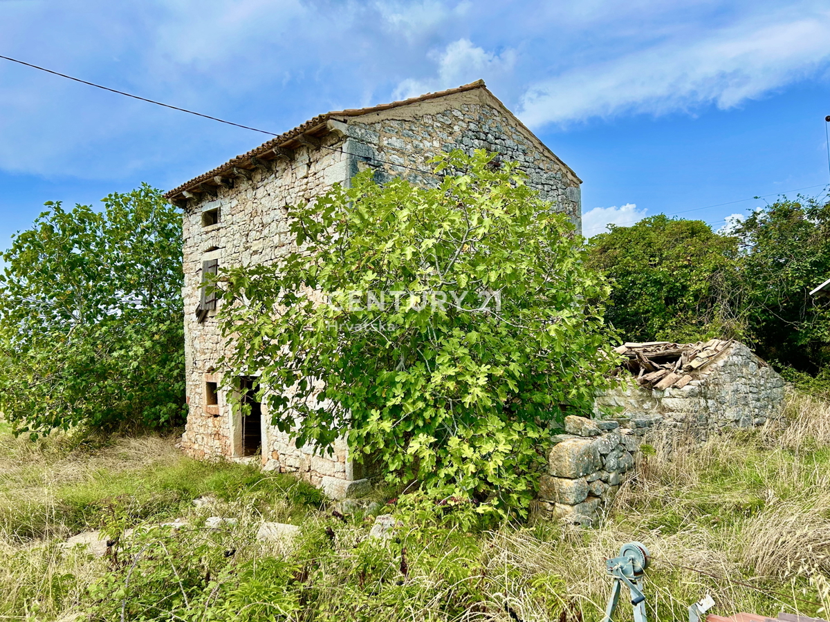Vrsar, dintorni, casa in pietra da ristrutturare in ottima posizione