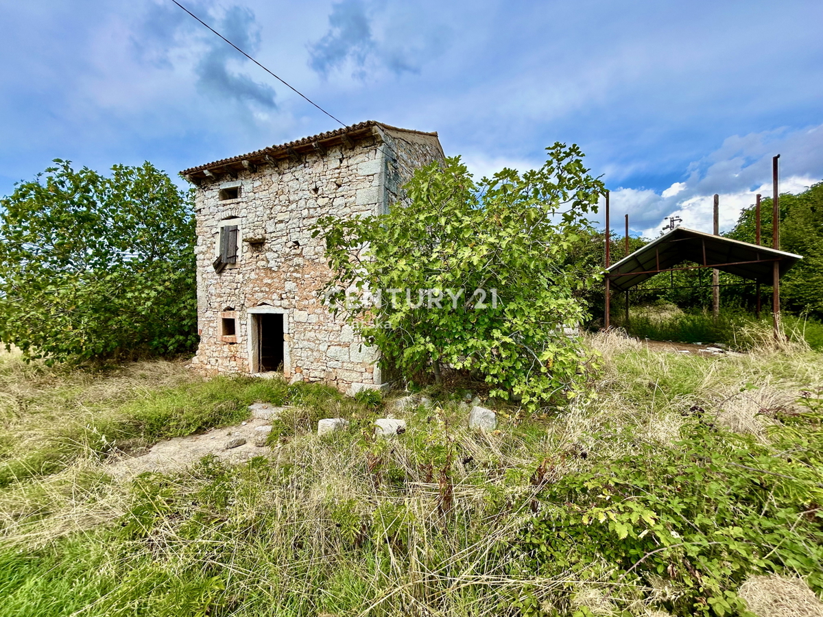 Vrsar, dintorni, casa in pietra da ristrutturare in ottima posizione