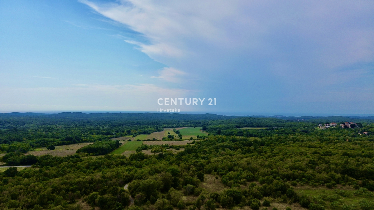 Vrsar, dintorni, casa in pietra da ristrutturare in ottima posizione