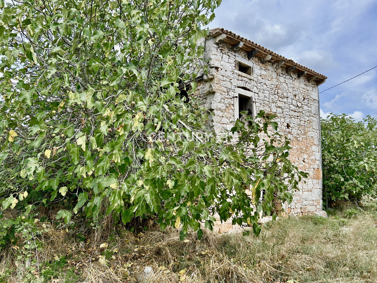 Vrsar, dintorni, casa in pietra da ristrutturare in ottima posizione