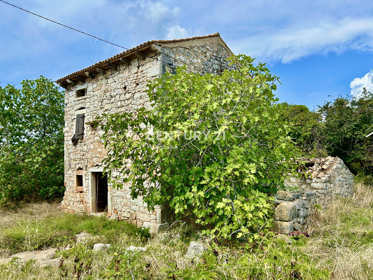 Vrsar, dintorni, casa in pietra da ristrutturare in ottima posizione