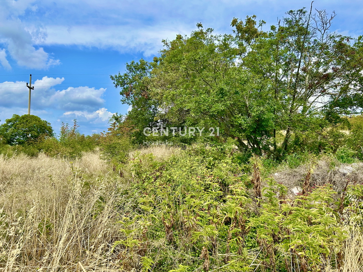 Vrsar, dintorni, casa in pietra da ristrutturare in ottima posizione