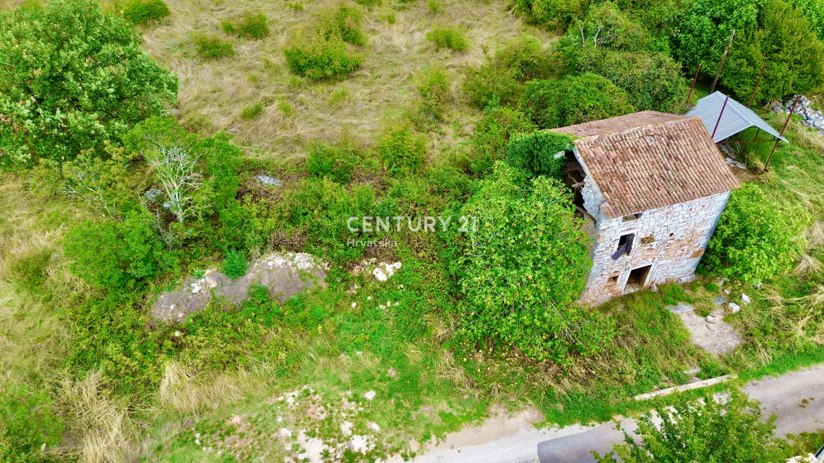 Vrsar, dintorni, casa in pietra da ristrutturare in ottima posizione
