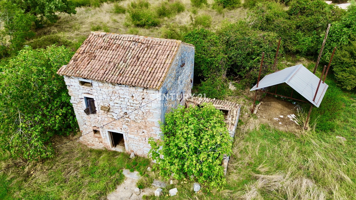 Vrsar, dintorni, casa in pietra da ristrutturare in ottima posizione